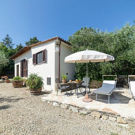 Holiday Home Olivo By Interhome Castellina in Chianti Εξωτερικό φωτογραφία